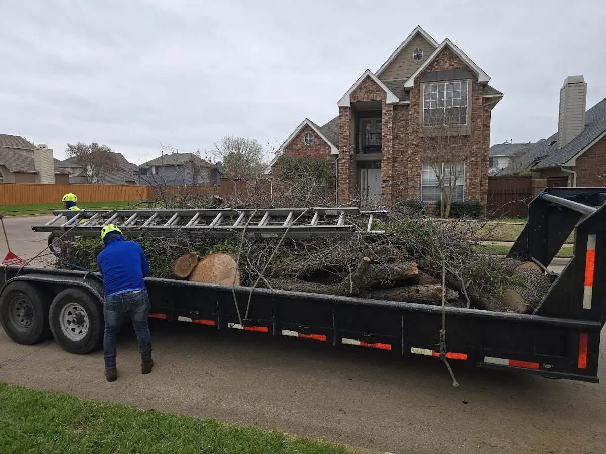 Expert Tree Removal with proper safety equipment in Burnt Prairie